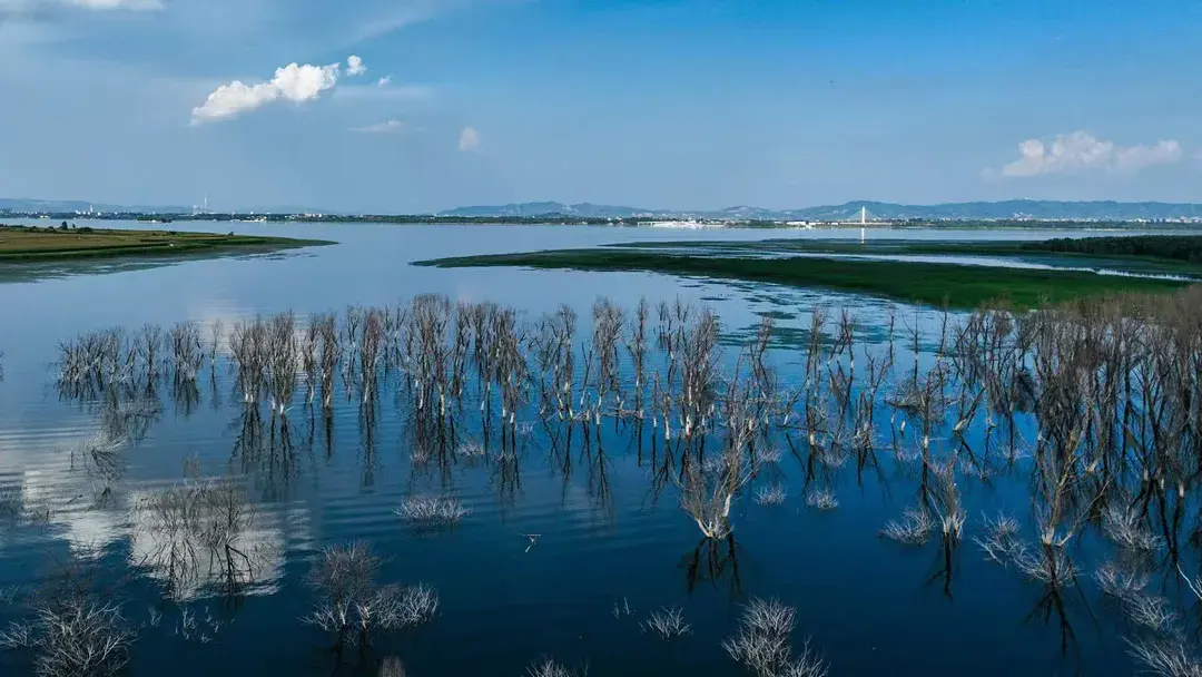 屯留区：绛河沿岸 幸福可期-图7