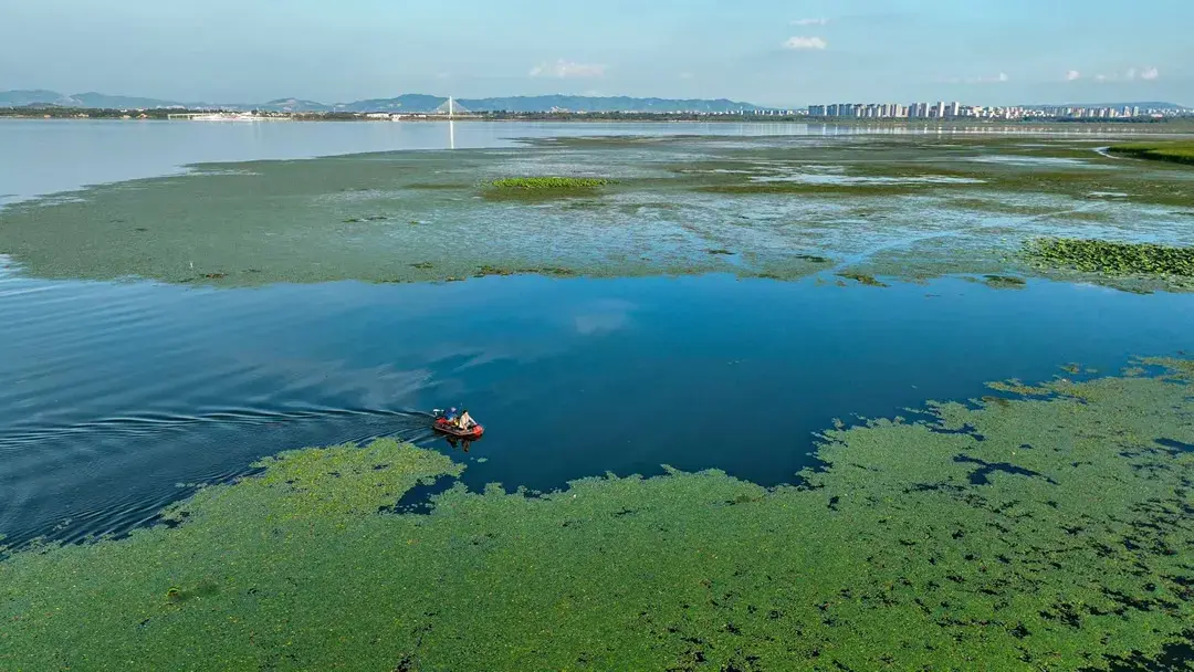 屯留区：绛河沿岸 幸福可期-图8